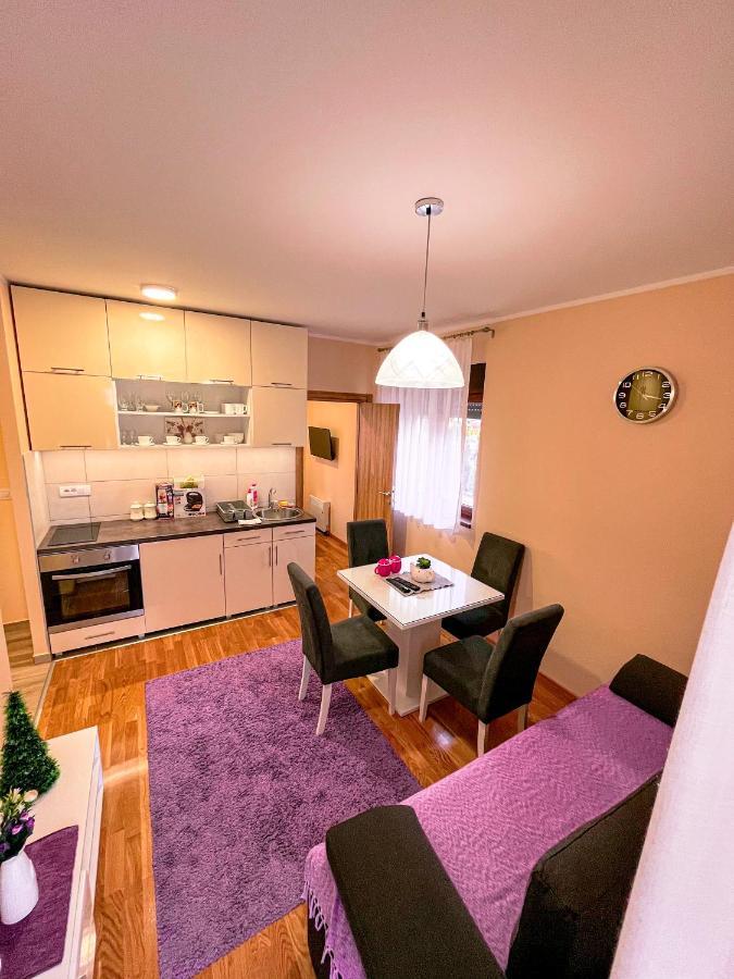 Popovic Apartment